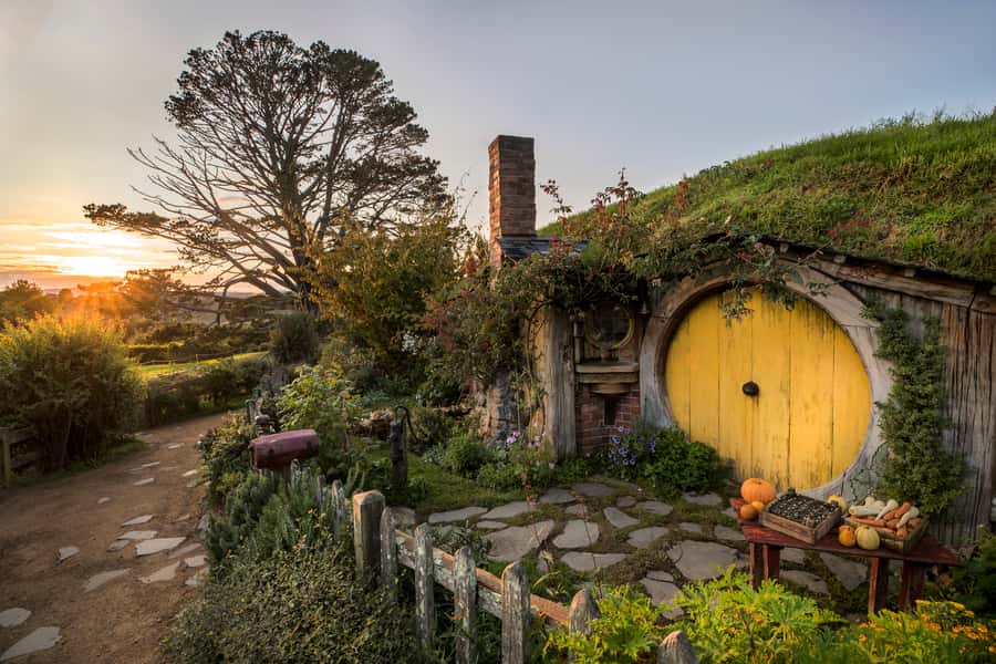 From Auckland: Waitomo & Hobbiton Bus Tour with Lunch - Beneath Waitomo’s glowing ceiling