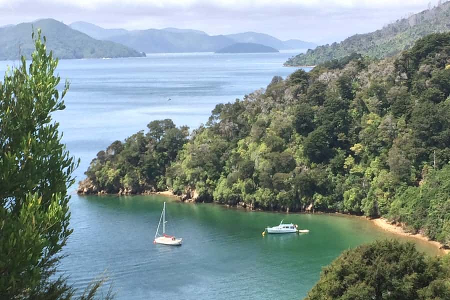 From Blenheim/Picton: Marlborough Gourmet Wine Tasting Tour - Gardens, hilltop views, and a proper lunch stop