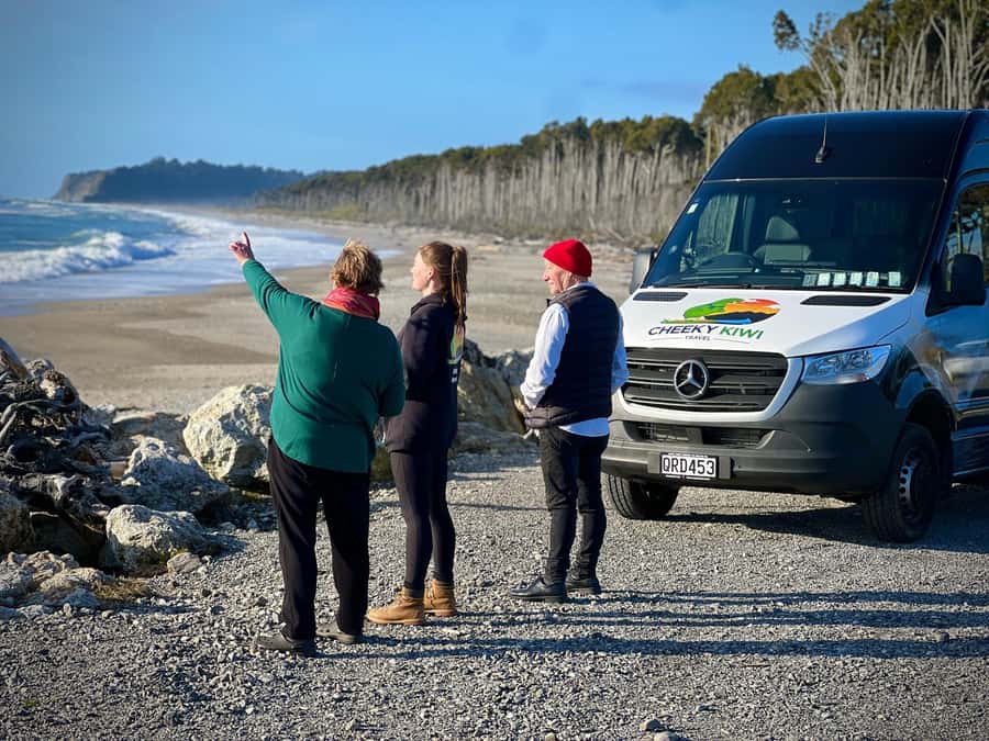 From Christchurch: 2 day tour to Queenstown via Franz Josef - Lake Hawea, Wanaka, and That Wanaka Tree