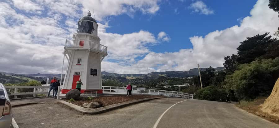 From Christchurch: Akaroa Day Tour with Optional Cruise - The optional cruise and its wildlife
