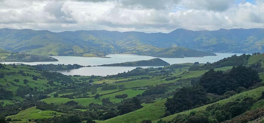 From Christchurch: Akaroa Day Tour with Optional Cruise - Should you book it?