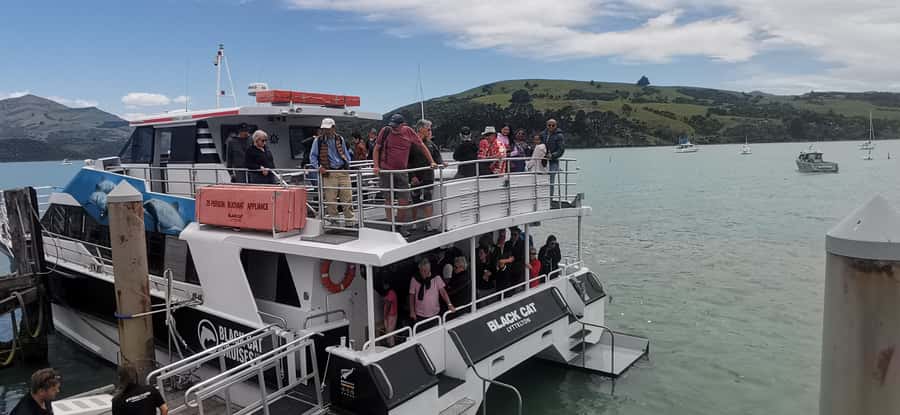 From Christchurch: Akaroa Day Tour with Optional Cruise - Akaroa’s French character and three-hour pause