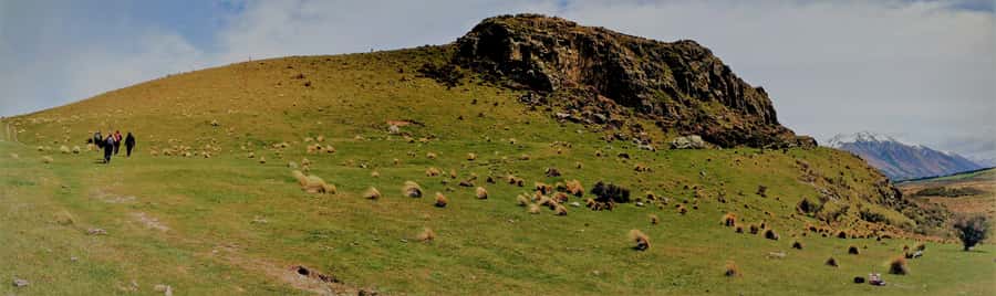 From Christchurch: Full-Day Lord of the Rings Tour to Edoras - Who will get the most from this tour?
