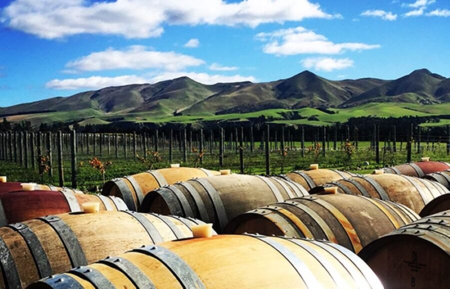From Christchurch: Guided Local Wine Tours in Waipara - Who will get the most from this tour