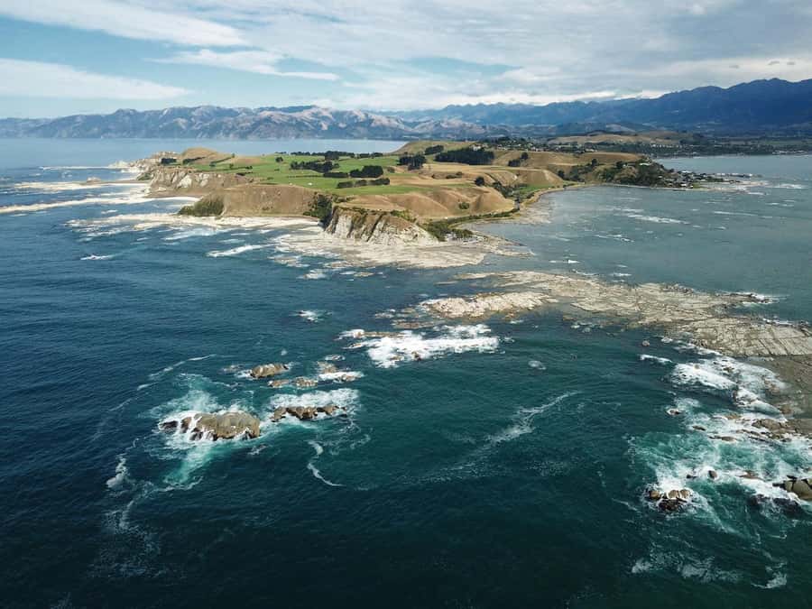 From Christchurch: Kaikōura Day Tour With Dolphin Encounter - Why Kaikōura makes a strong day trip