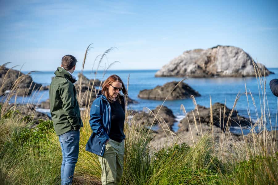 From Christchurch: Kaikōura Day Tour With Dolphin Encounter - Who will enjoy this day most
