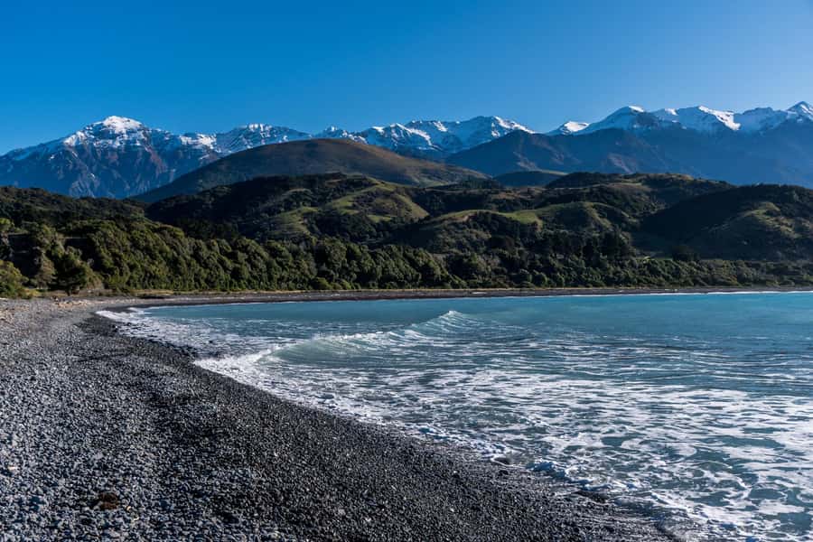 From Christchurch: Kaikōura Day Tour With Dolphin Encounter - Practical advice for making the day smoother