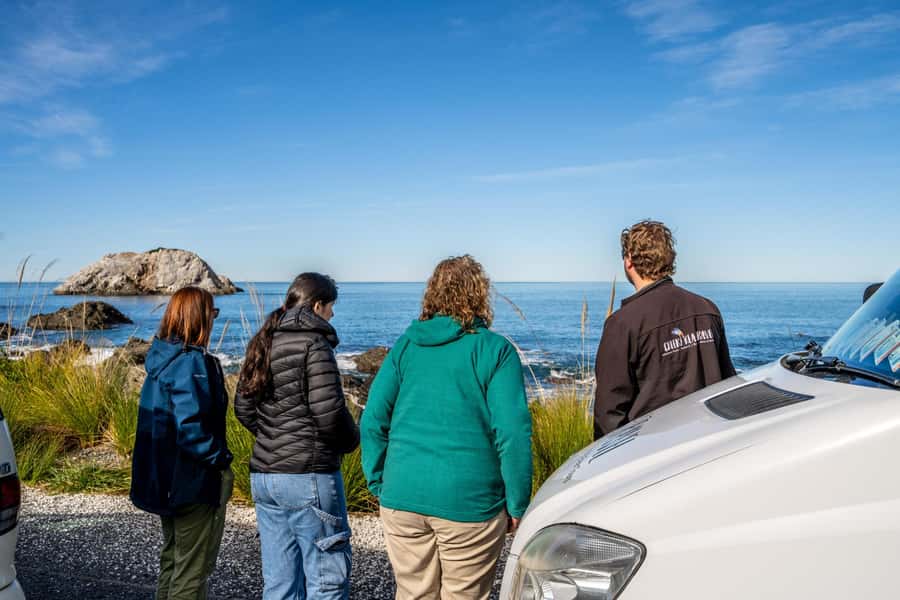 From Christchurch: Kaikōura Day Tour With Dolphin Encounter - The 6:55 to 8:00 pickup from Christchurch