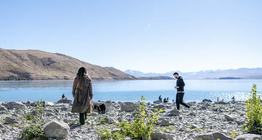 From Christchurch: Mt Cook Day Tour & Lake Tekapo - Is $175 good value?