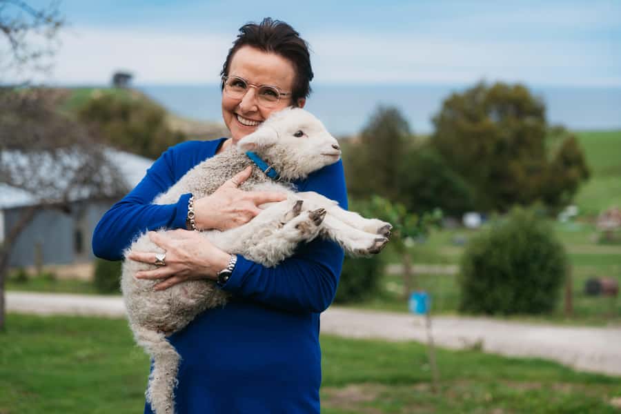 From Christchurch: Sheep Farm Day Trip with Lunch & Winery - Glenafric Farm, where the work is real