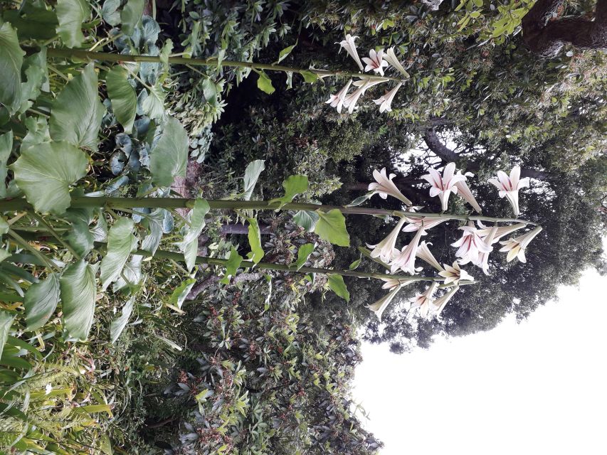 From Dunedin: City, Otago Peninsula & Albatross Guided Tour - Is $191 good value?