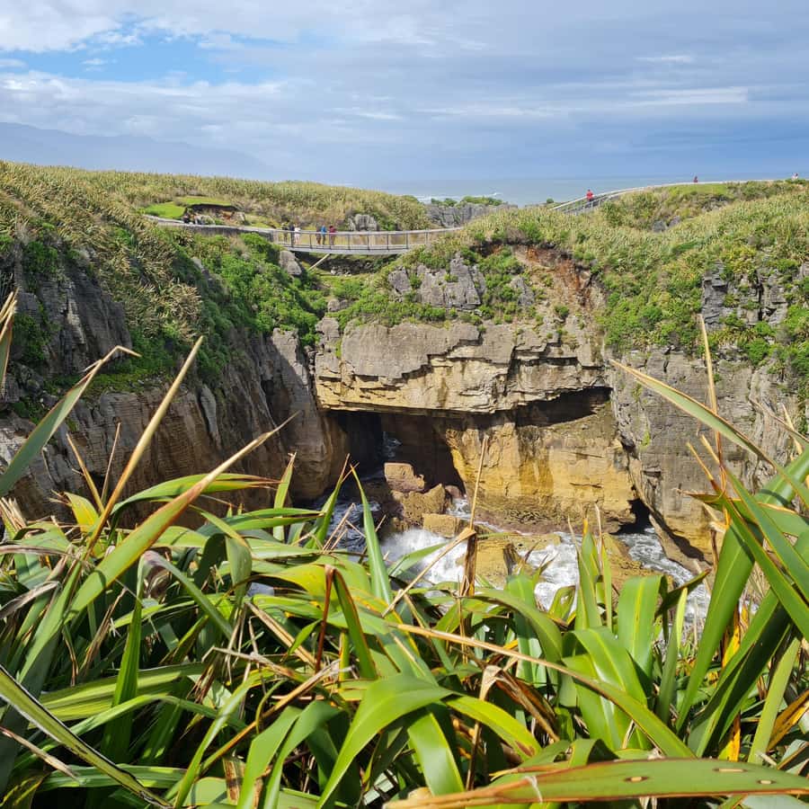 From Greymouth: Highlights West Coast Day Tour - Buller Gorge and the road to Reefton