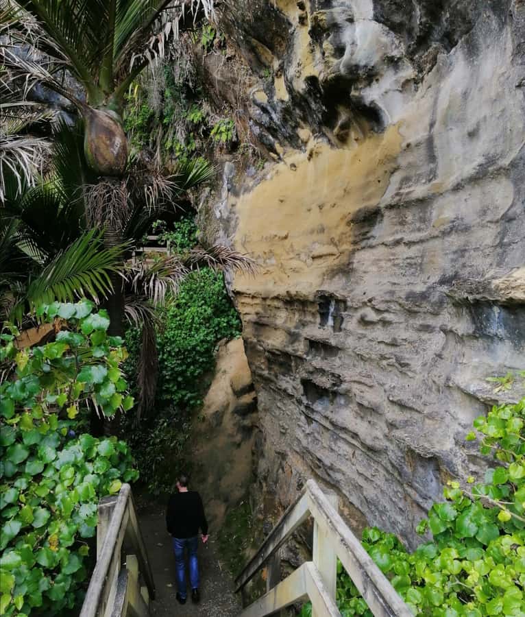 From Greymouth: Highlights West Coast Day Tour - Grey Valley and Brunner Mine Site