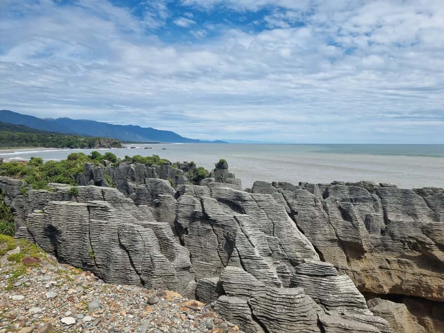 From Greymouth: Punakaiki Blowholes & Pancake Rocks Tour - Who will enjoy this tour most?