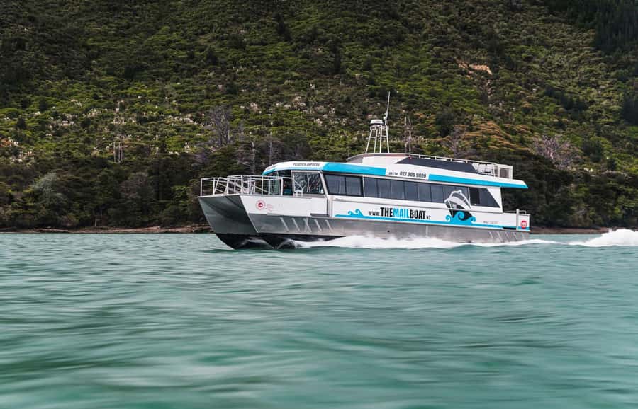 From Havelock: Marlborough Sounds Mail Boat Full-Day Cruise - Who will enjoy this cruise most?