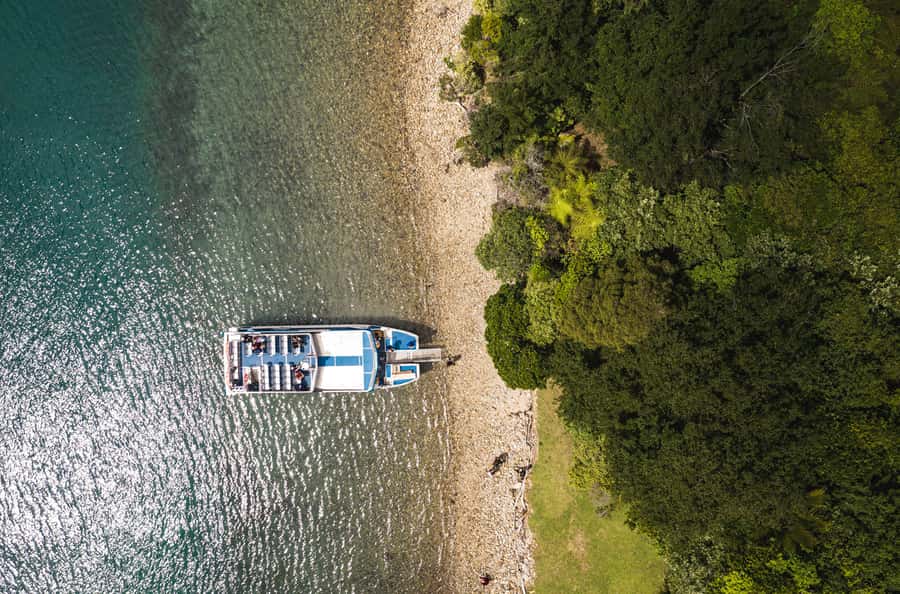 From Havelock: Marlborough Sounds Mail Boat Full-Day Cruise - What the commentary adds