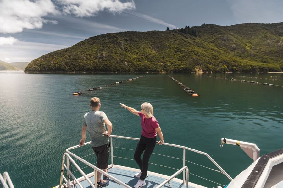 From Havelock: Marlborough Sounds Mail Boat Full-Day Cruise - Is $86 good value?