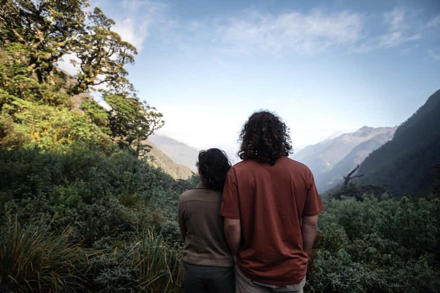 From Manapouri: Doubtful Sound Wilderness Day Trip - How the $208 price measures up