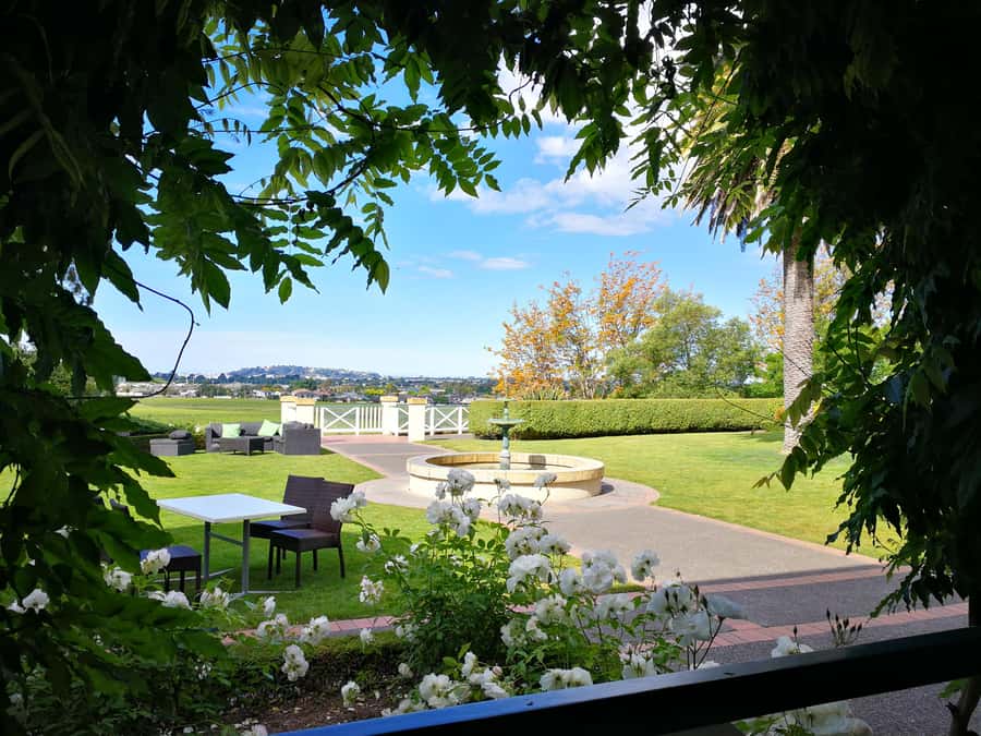 From Napier: Hawke's Bay Small Group Wine Capita Tour - Key points at a glance