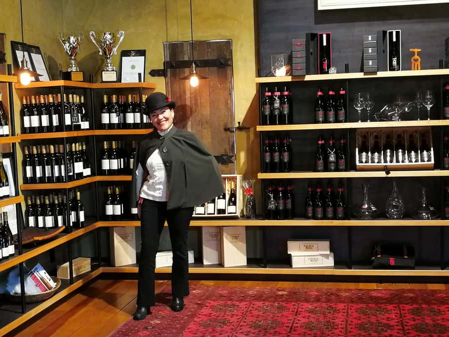 From Napier: Hawke's Bay Small Group Wine Capita Tour - Why Hawke’s Bay makes a good wine day