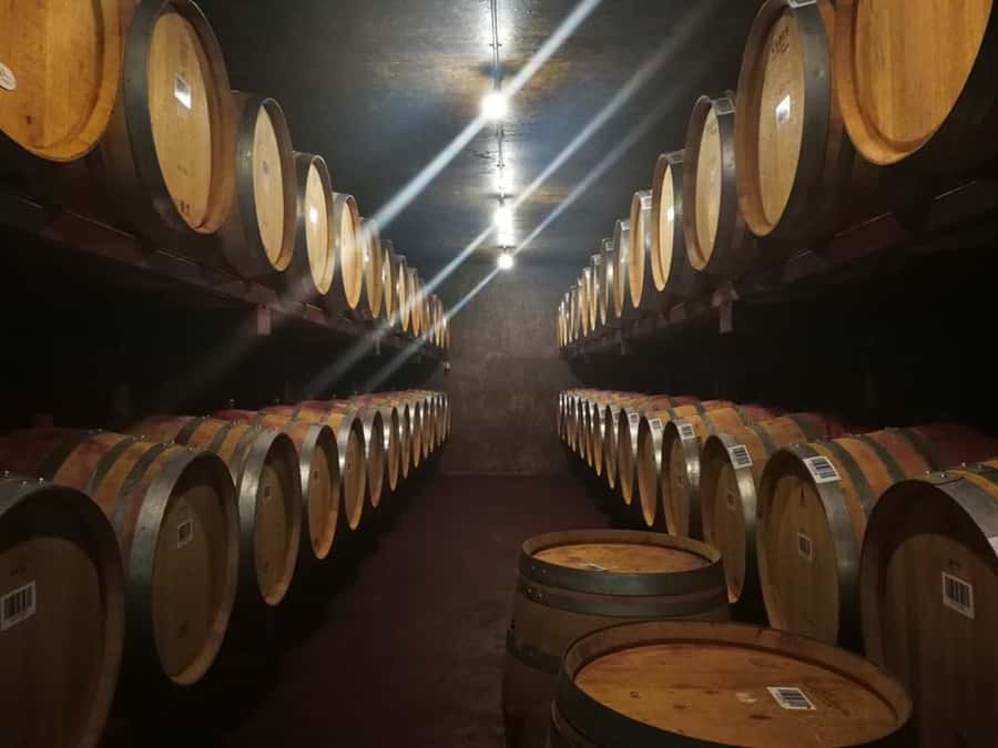 From Napier: Hawke's Bay Small Group Wine Capita Tour - Guides Tere and Reuben add the local connection