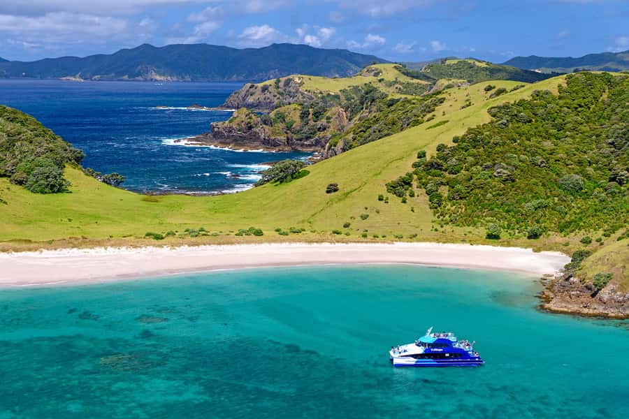 From Paihia: Full-Day Bay of Islands Cruise - Key points to know before booking