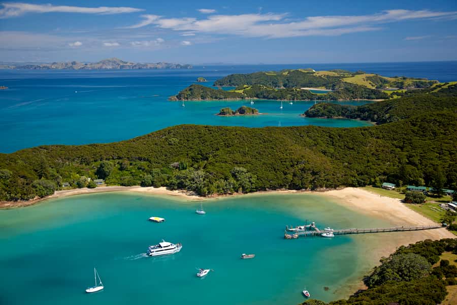 From Paihia: Full-Day Bay of Islands Cruise - Searching for dolphins, whales, penguins, and other wildlife
