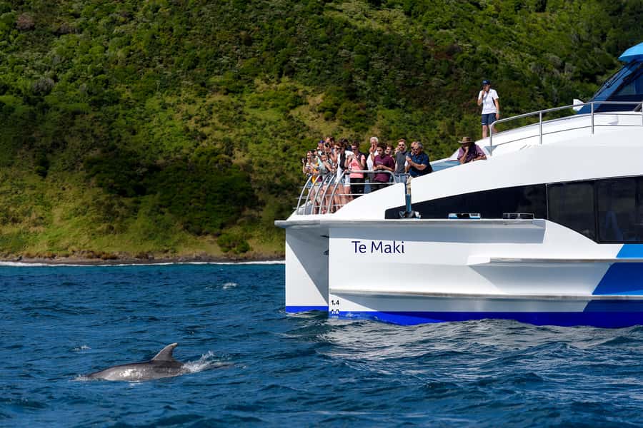 From Paihia: Full-Day Bay of Islands Cruise - Who will enjoy this cruise most