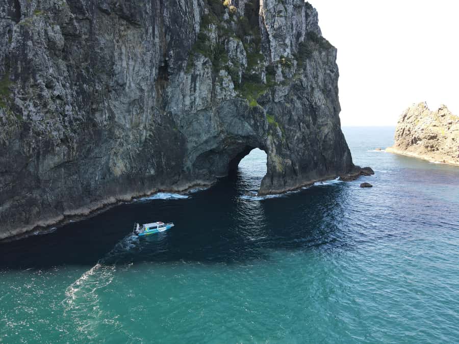 From Paihia: Hole in the Rock Cruise & Island Tour: 3 Hour - Starting at Paihia Wharf