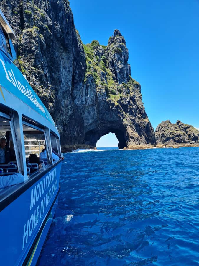 From Paihia: Hole in the Rock Cruise & Island Tour: 3 Hour - Cruising through 144 islands