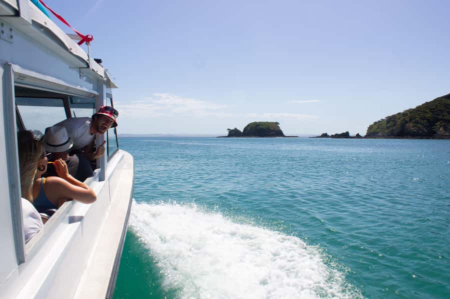 From Paihia: Hole in the Rock Cruise & Island Tour: 3 Hour - The guides make a real difference