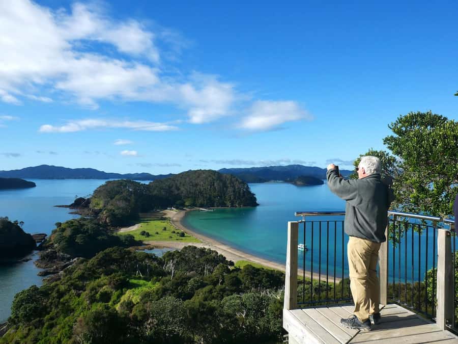 From Paihia: Hole in the Rock Cruise & Island Tour: 3 Hour - Weather, sea conditions, and backup plans