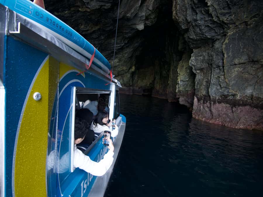 From Paihia: Hole in the Rock Cruise & Island Tour: 3 Hour - Practical advice before you board