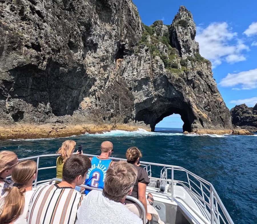 From Paihia: Scenic Cruise with Roberton Island Stopover - Key points at a glance