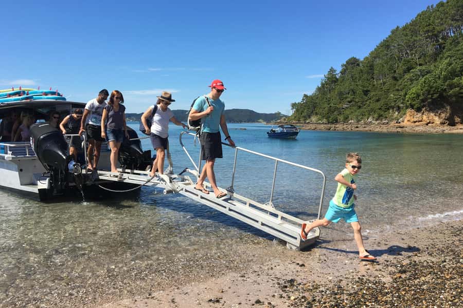 From Paihia: Scenic Cruise with Roberton Island Stopover - What this Paihia cruise does well