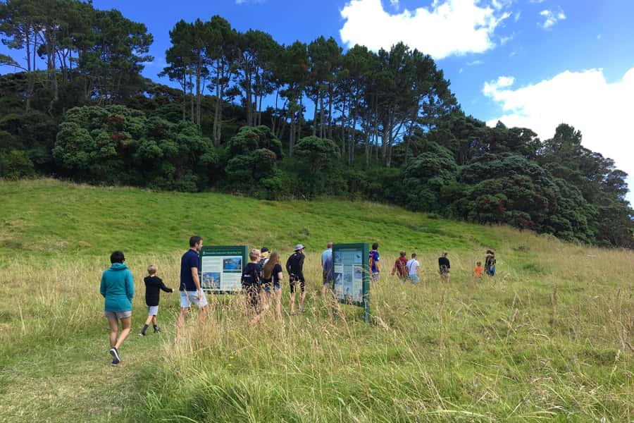From Paihia: Scenic Cruise with Roberton Island Stopover - Roberton Island and the Twin Lagoons walk