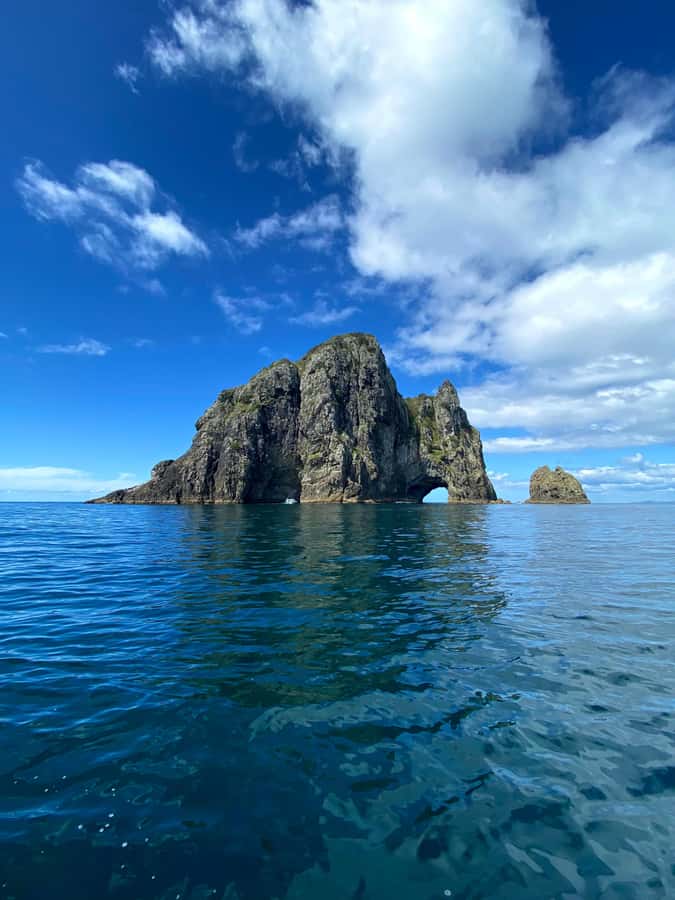 From Paihia: Scenic Cruise with Roberton Island Stopover - Cruising toward Cape Brett