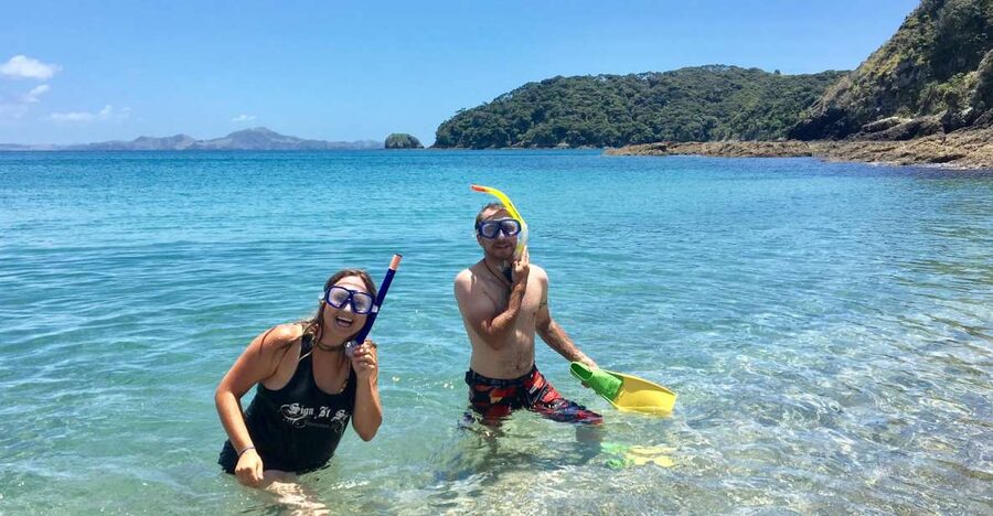From Paihia: Scenic Cruise with Roberton Island Stopover - The Hole in the Rock at Motukokako Island