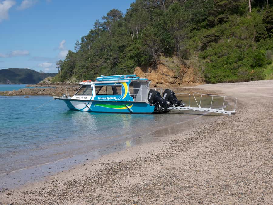 From Paihia: Scenic Cruise with Roberton Island Stopover - Wildlife, snorkeling, and paddleboarding