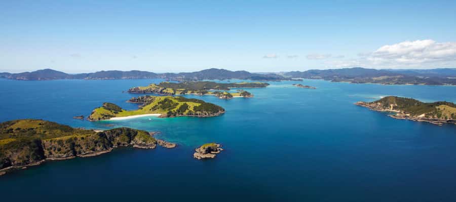 From Paihia: Scenic Cruise with Roberton Island Stopover - Is $78 good value?