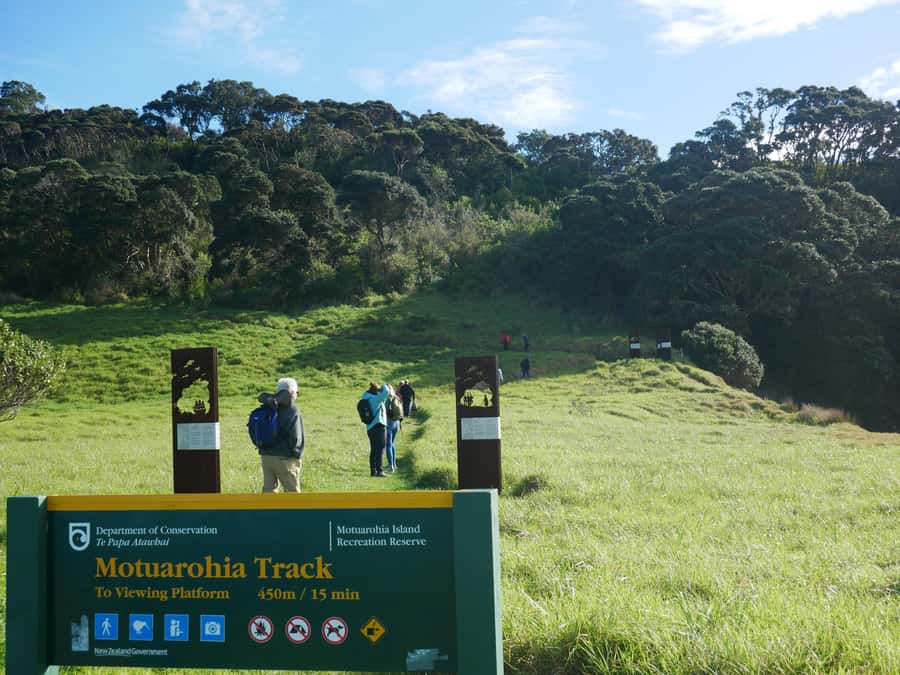 From Paihia: Scenic Cruise with Roberton Island Stopover - Who should book this cruise?