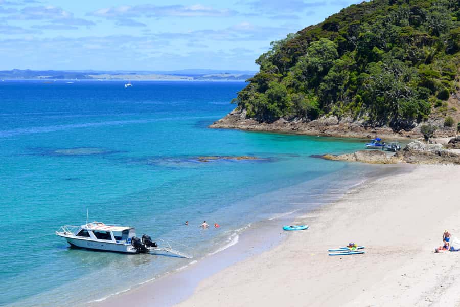 From Paihia: Scenic Cruise with Roberton Island Stopover - Leaving Pier 10 in Paihia