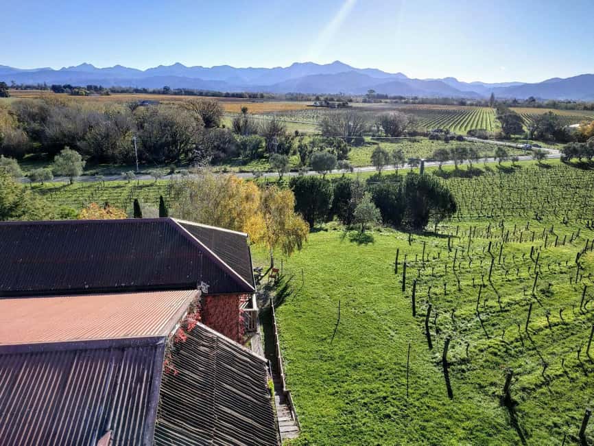 From Picton: Marlborough Wine Shore Excursion - The lunch stop combines food and premium tasting