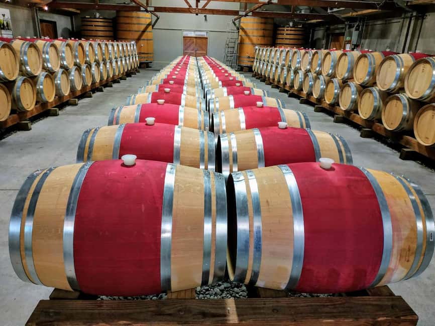 From Picton: Marlborough Wine Shore Excursion - Four to five cellar doors, with enough variety to compare