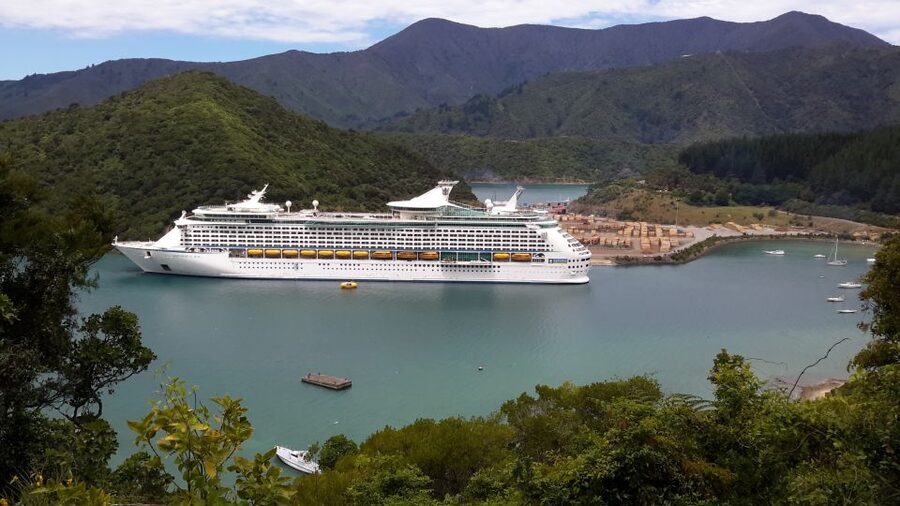 From Picton: Marlborough Wine Trip Shore Excursion - Timing, group size, and practical limits