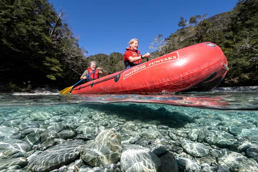 From Queenstown: Dart River Canoe & Jet Boat Day Trip - Is $256 good value?