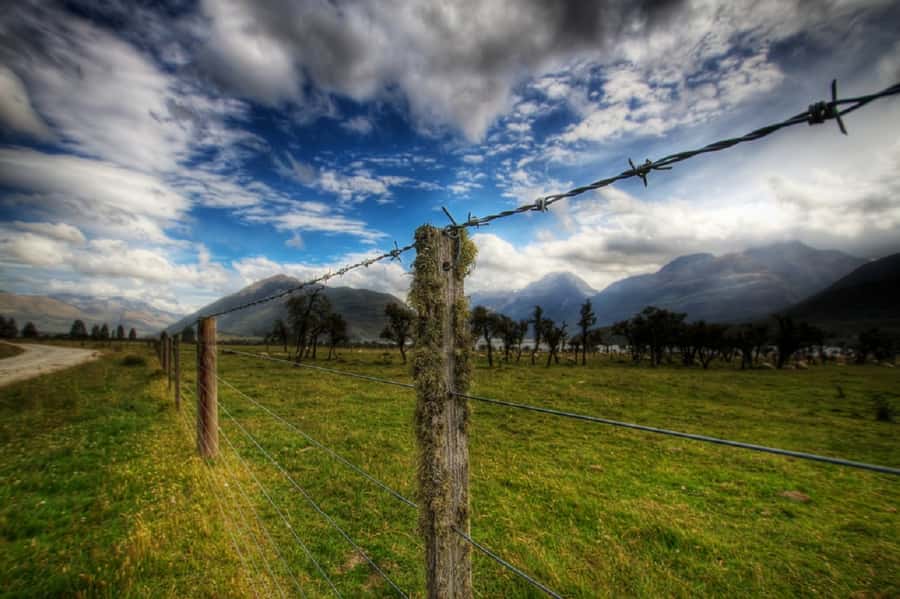 From Queenstown: Lord Of The Rings Tour to Glenorchy - Food, comfort, and the pace of the day