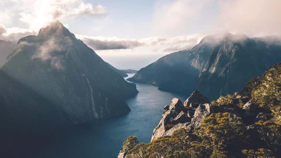 From Queenstown: Milford Sound Business Class with Cruise - Choosing your way back to Queenstown