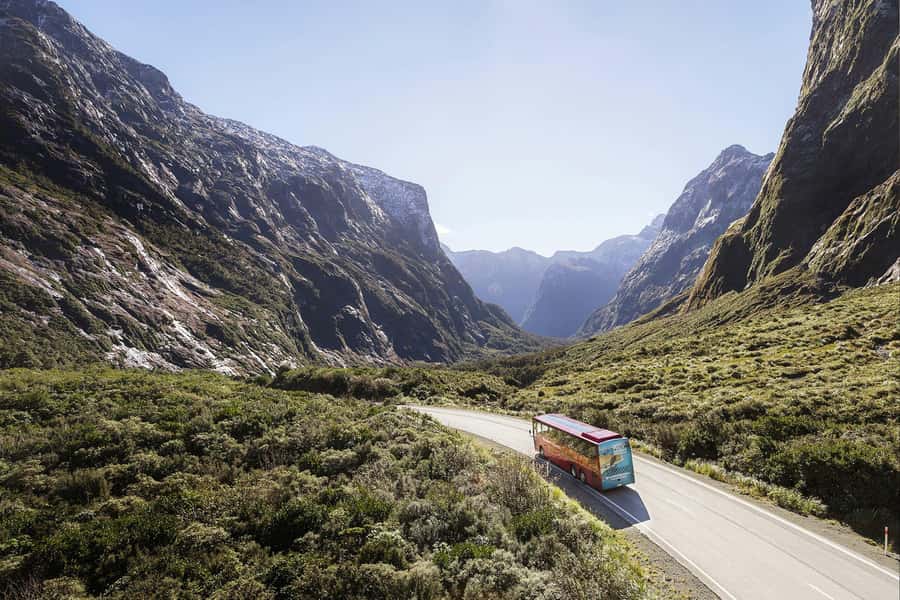 From Queenstown: Milford Sound Coach, Cruise, Scenic Flight - Key points to know before booking