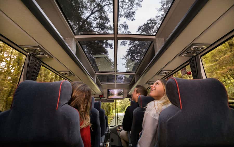 From Queenstown: Milford Sound Coach, Cruise, Scenic Flight - Starting early in Queenstown